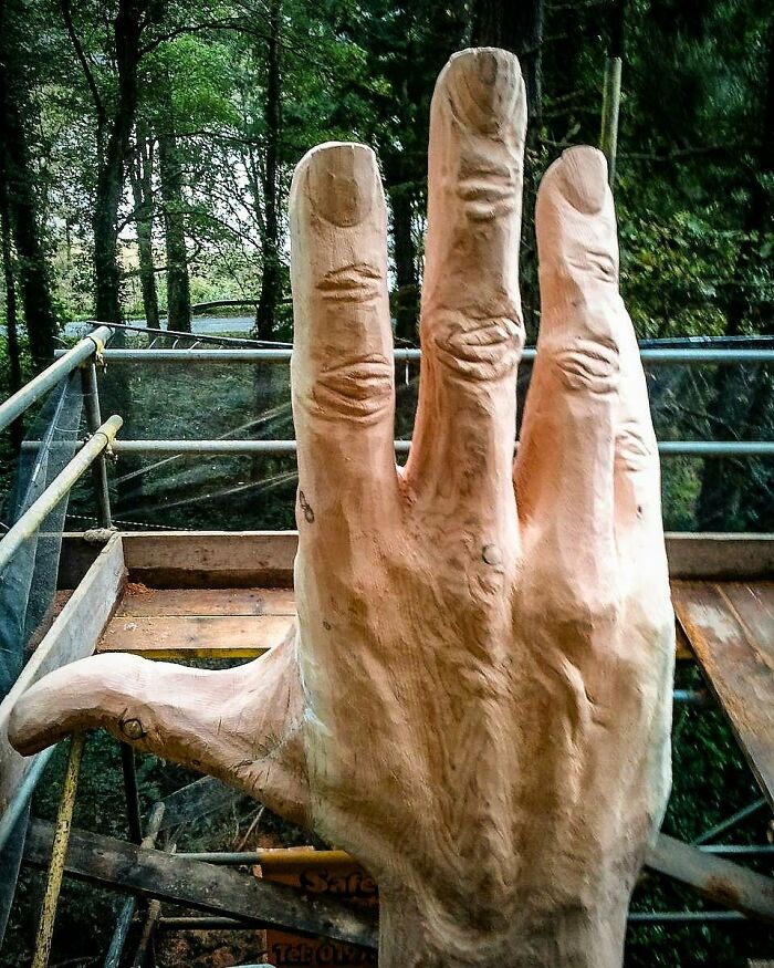 Sculptor Turns Storm-Damaged Tree into 50-Foot Hand Sculptor Turns Storm-Damaged Tree into 50-Foot Hand