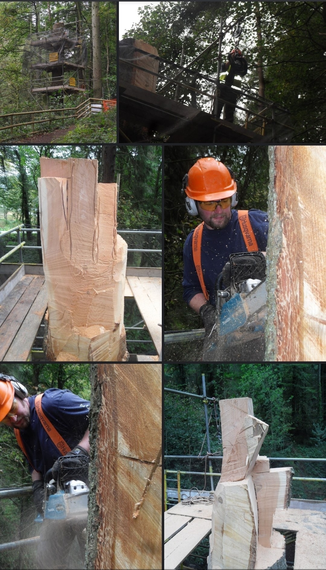 Sculptor Turns Storm-Damaged Tree into 50-Foot Hand Sculptor Turns Storm-Damaged Tree into 50-Foot Hand