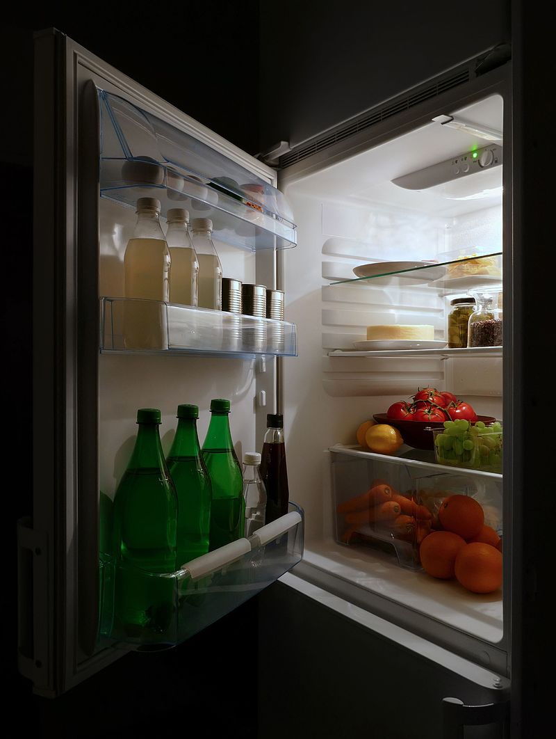 no ICE fridges
