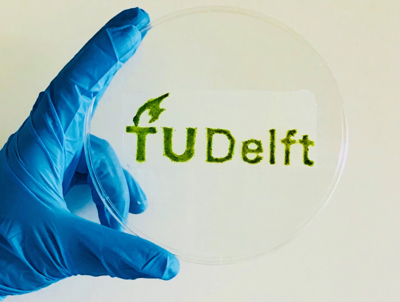 3D Printed 'Artificial Leaves' Could Provide Sustainable Energy on Mars 3D Printed 'Artificial Leaves' Could Provide Sustainable Energy on Mars