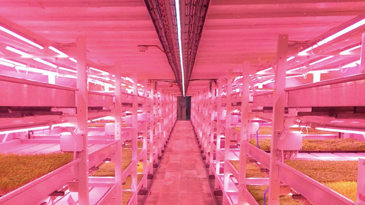 London Wartime Bunkers Offer Essential Vertical Farm Space