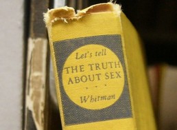 The Science Behind Why Sex First Became a Thing