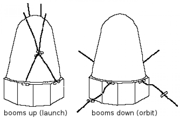 NASA Once Sent 2 Bullfrogs to Space for... Science!