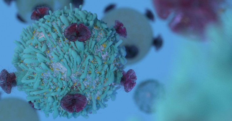 KAUST Researchers Develop a Three-Step Cancer-Killing Mechanism