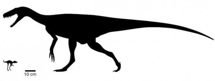 Scientists May Have Discovered the Ancestor of Dinosaurs in Madagascar Scientists May Have Discovered the Ancestor of Dinosaurs in Madagascar