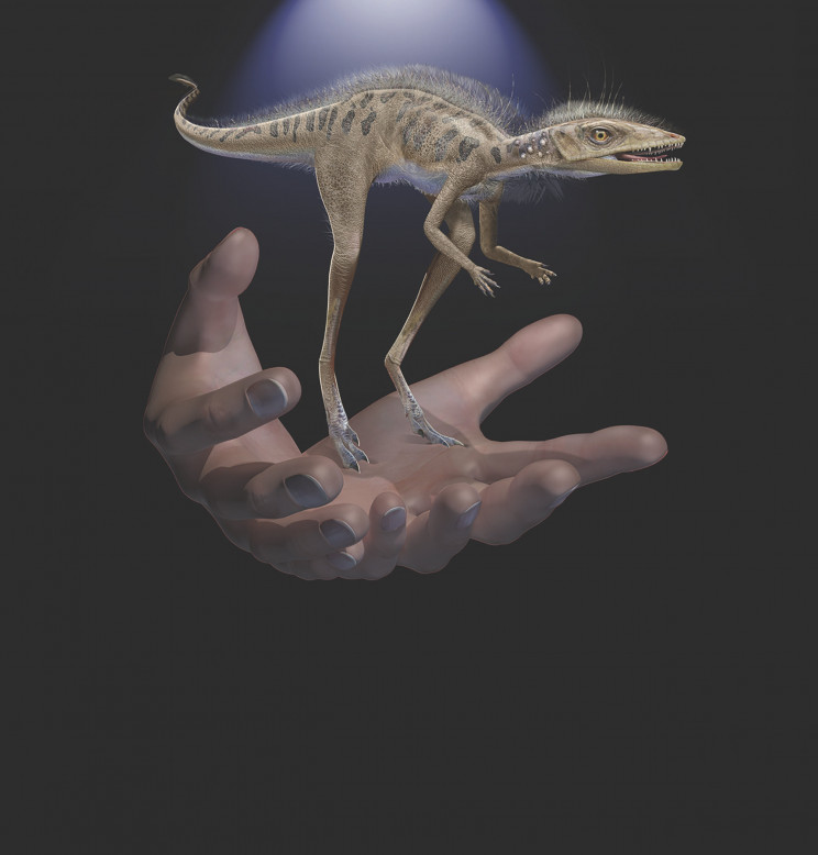 Scientists May Have Discovered the Ancestor of Dinosaurs in Madagascar Scientists May Have Discovered the Ancestor of Dinosaurs in Madagascar