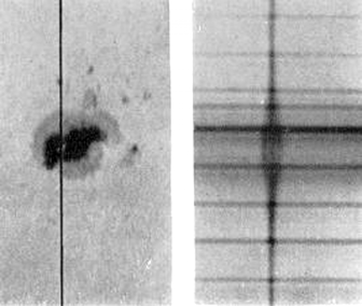 The Zeeman Effect That Helps Measure the Magnetic Field of the Sun The Zeeman Effect That Helps Measure the Magnetic Field of the Sun
