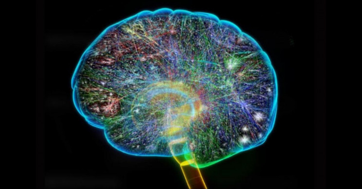 Quantum Mechanics Helps Explain Why Humans Sometimes Make Foolish Decisions