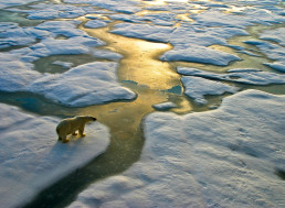 Existing Carbon Emitting Infrastructure to Push Planet to 1.5˚C