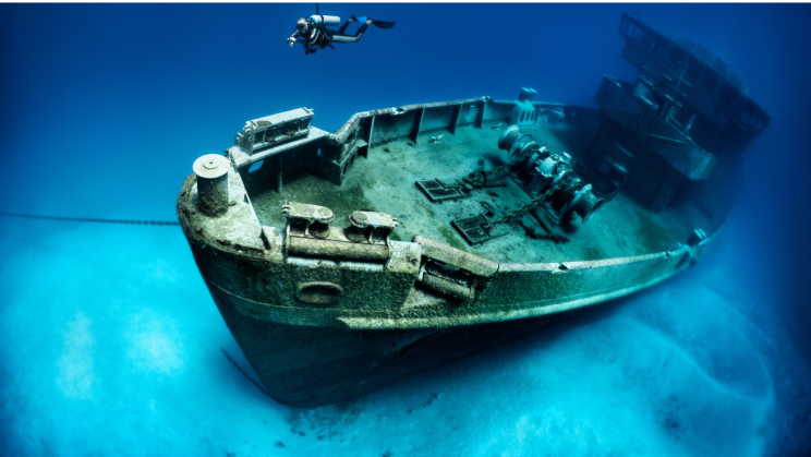 Wooden shipwrecks from the 19th century can fuel massive deep-sea microbiomes
