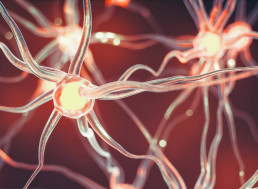 New Research Reveals Hallucinations Should Be More Common