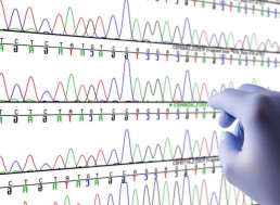How Our Genetic History Shows Where Our Ancestors Have Been