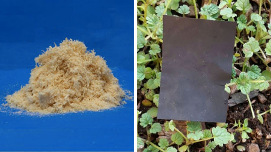Scientists Create Biomass Based Plastics From Wood IE