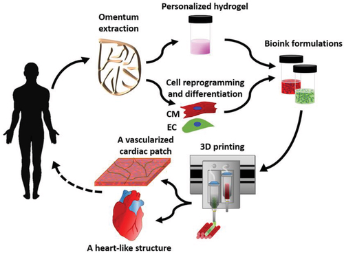 The Science Fiction World of 3D Printed Organs The Science Fiction World of 3D Printed Organs
