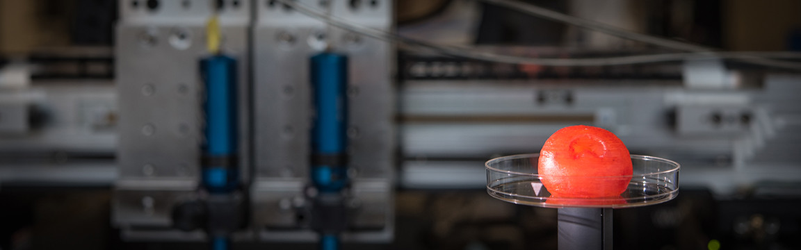 The Science Fiction World of 3D Printed Organs The Science Fiction World of 3D Printed Organs