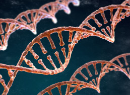 Electrochemical CRISPR Can Be Used for Extremely Quick Blood Test