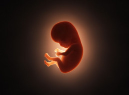 Now You Can Create Your Own Genetically Modified but Smart and Healthy Baby