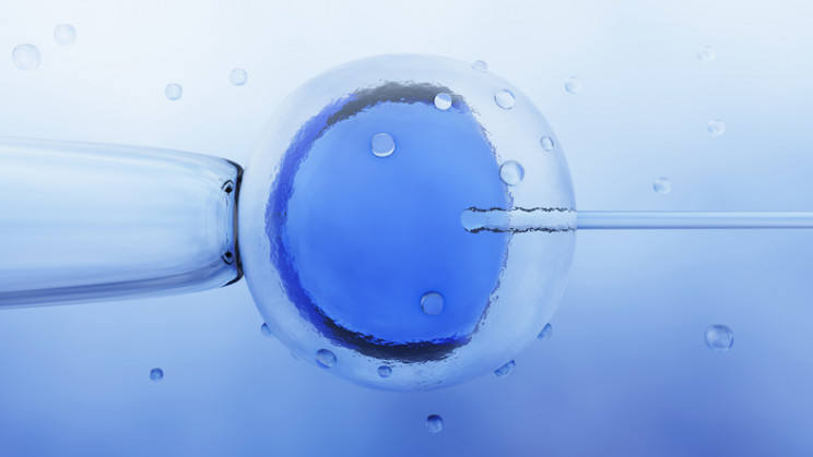 Now You Can Create Your Own Genetically Modified but Smart and Healthy Baby