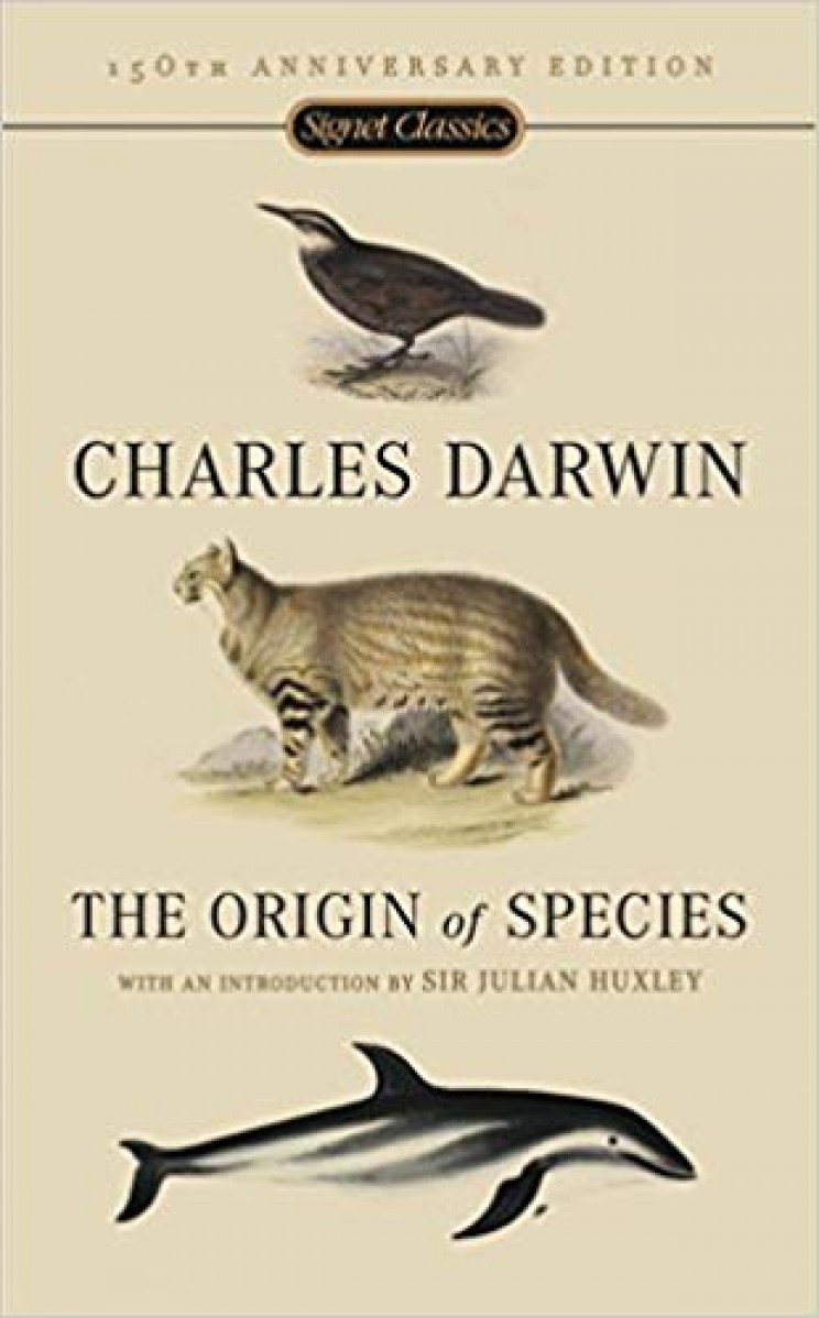 ancient theories of evolution origin