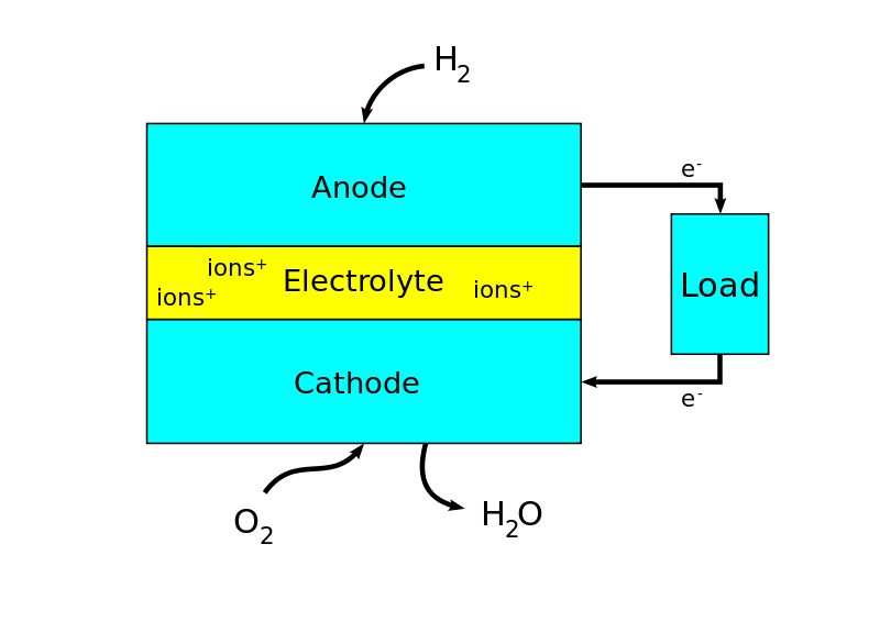 A Closer Look at Hydrogen Fuel Cell Truck Projects A Closer Look at Hydrogen Fuel Cell Truck Projects