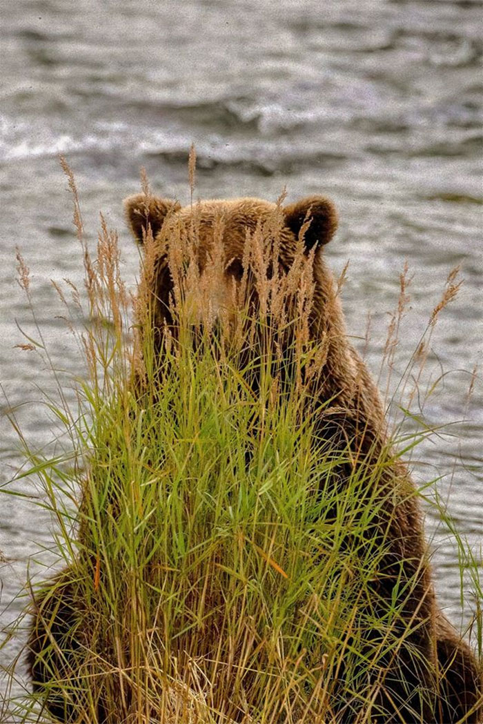 13 of the Most Unusual Photos of Wildlife Animals 13 of the Most Unusual Photos of Wildlife Animals