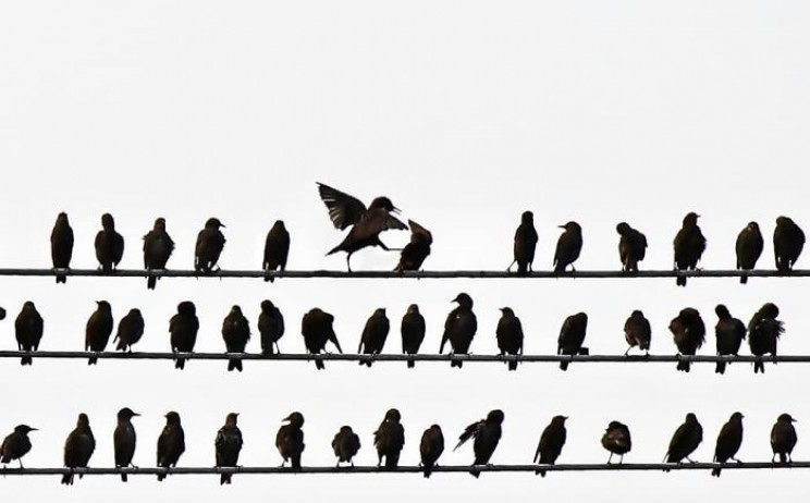 13 of the Most Unusual Photos of Wildlife Animals 13 of the Most Unusual Photos of Wildlife Animals