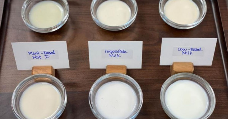 Impossible Foods' New 'Milk' Will Make You Question Your Palate
