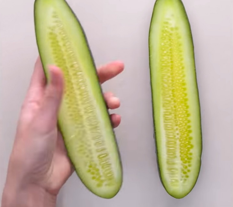 Cucumber seeds Cucumber seeds