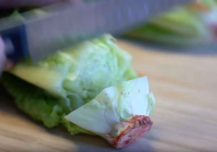 Lettuce end Lettuce end