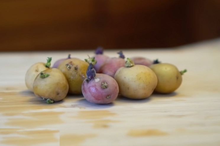 Potatoes with Potatoes with