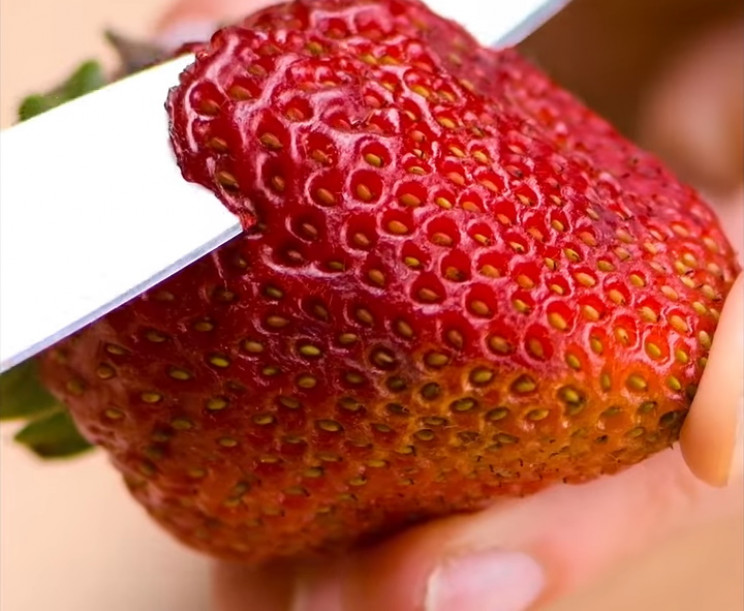Strawberry seeds Strawberry seeds
