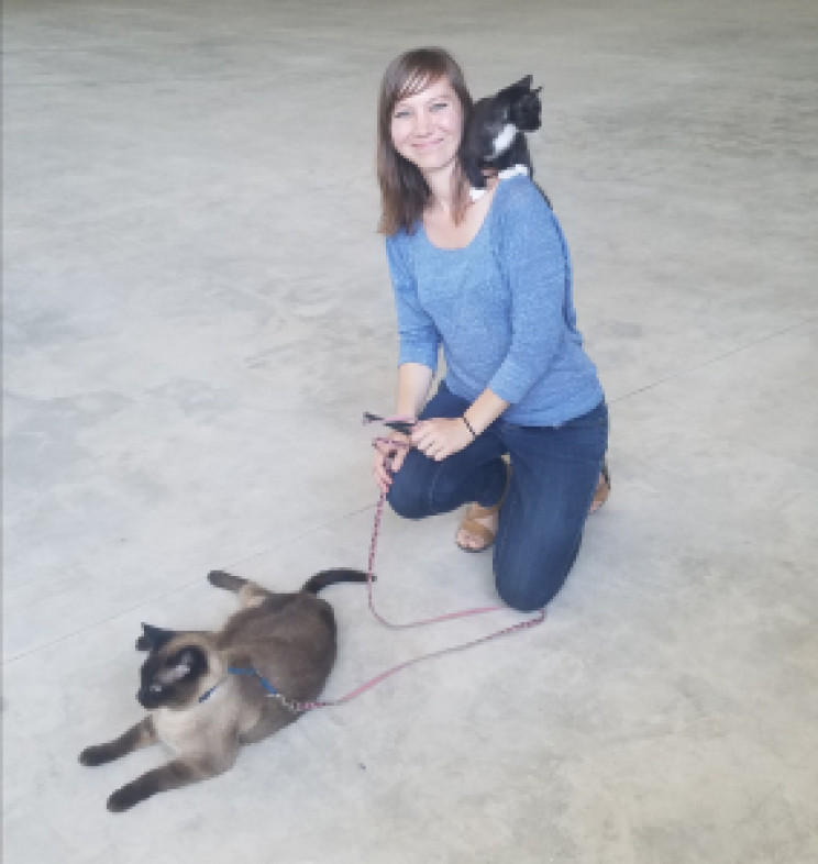 Is Your Cat Attached to You? Turns Out They're as Close to Their Caregivers as Dogs, Babies