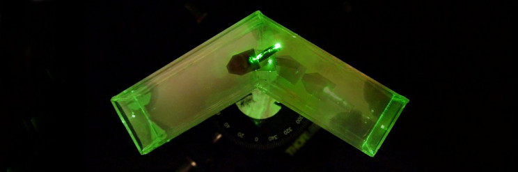 Check Out This Soft-bodied, Light-powered Swimming Robot Check Out This Soft-bodied, Light-powered Swimming Robot