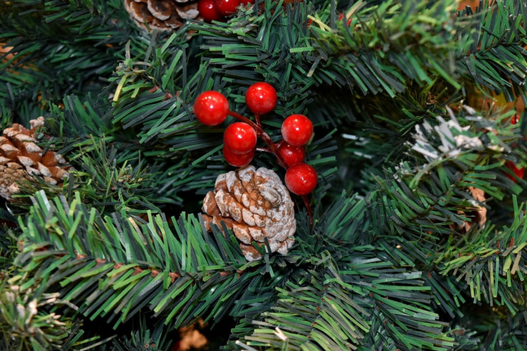 6 Ways You Can Reuse Your Christmas Tree After Holidays 6 Ways You Can Reuse Your Christmas Tree After Holidays