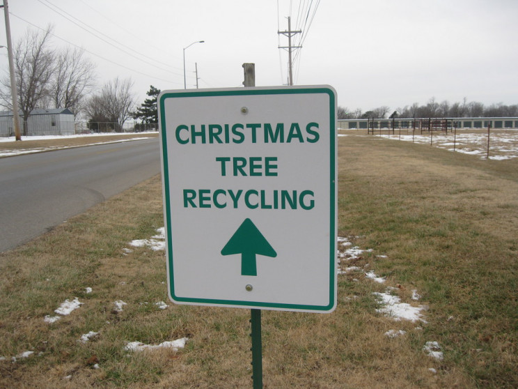 6 Ways You Can Reuse Your Christmas Tree After Holidays 6 Ways You Can Reuse Your Christmas Tree After Holidays