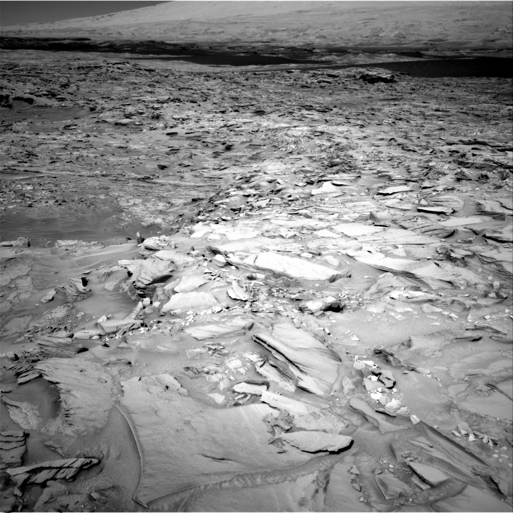 Fish-shaped rock on Mars Fish-shaped rock on Mars