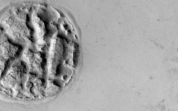 Waffle shaped island on Mars Waffle shaped island on Mars