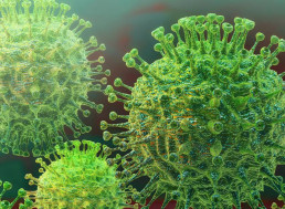 Scientists Discover Gigantic Bacteria-Eating Viruses That Blur the Line between the Living and Non-Living