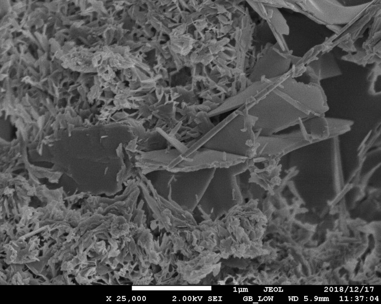 Scientists Discover Why Roman Concrete Gets Stronger Over Time Scientists Discover Why Roman Concrete Gets Stronger Over Time