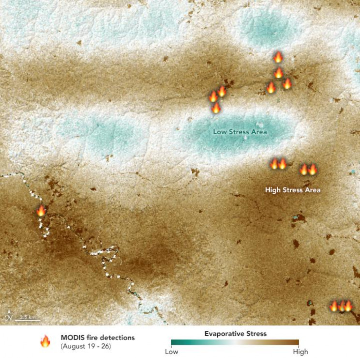 NASA Says Amazon Fires Were Also Fuelled by Water-Stressed Plants