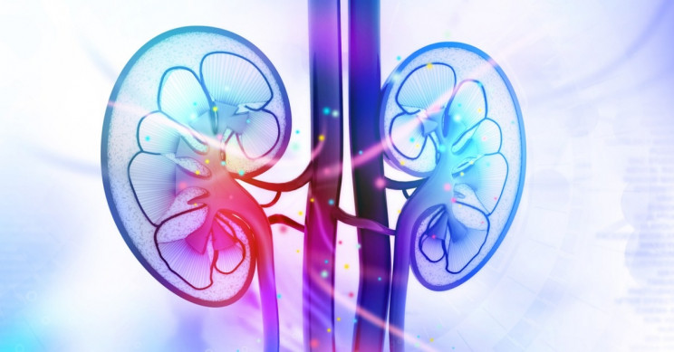 AI Used to Predict Acute Kidney Injury 48 Hours Earlier