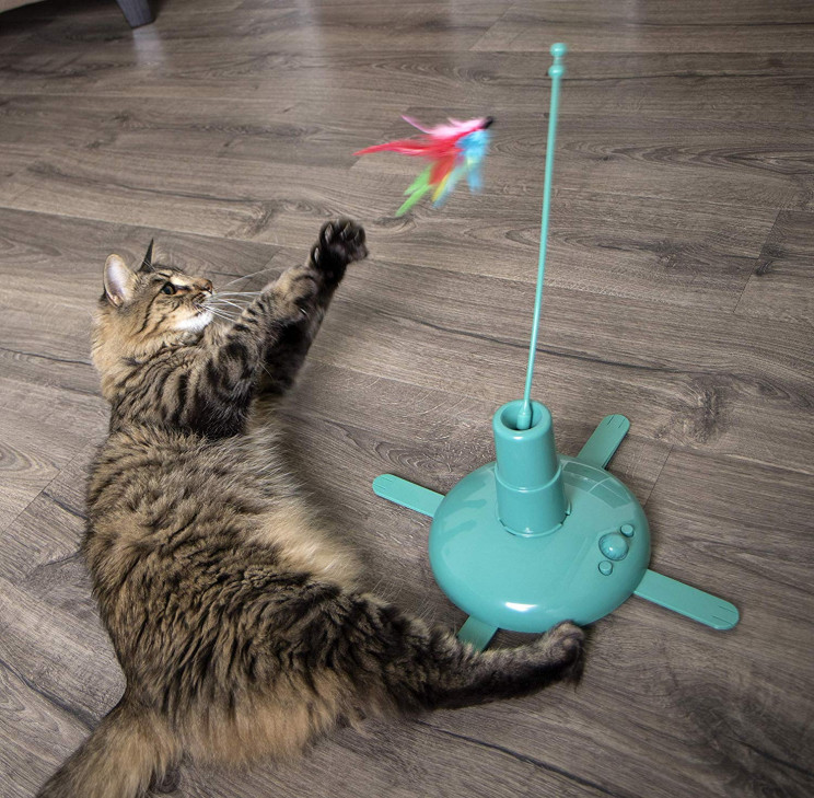 7 Amazing Cat Toy Inventions That Will Change Your Cat's Life