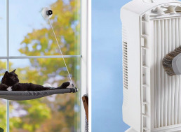 7 Amazing Cat Toy Inventions That Will Change Your Cat's Life