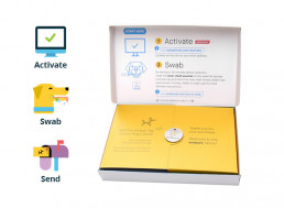 Learn About Your Dog's Ancestry with This Simple DNA Kit