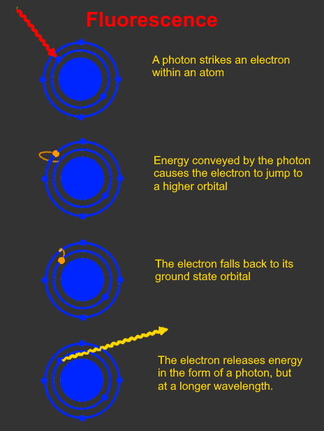 How fluorescence works How fluorescence works