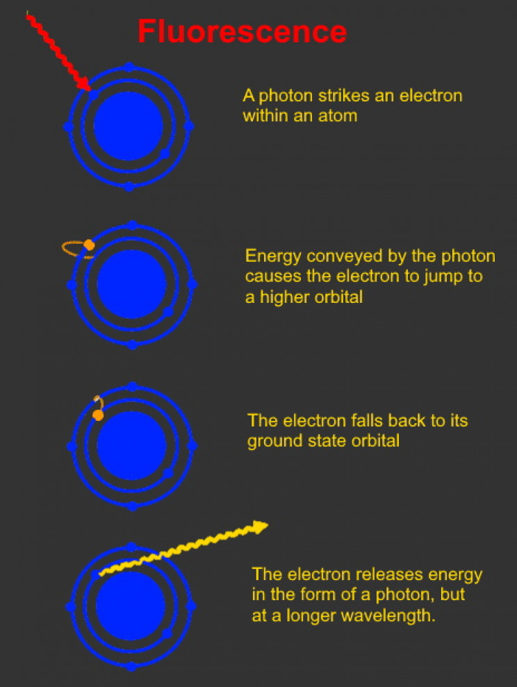 How fluorescence works How fluorescence works