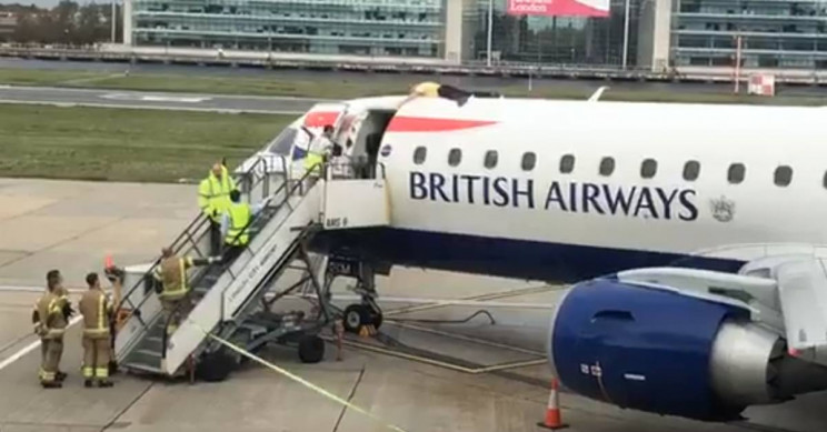 Paralympian Climate Protestor Glues Himself to the Top of a British Airway Plane
