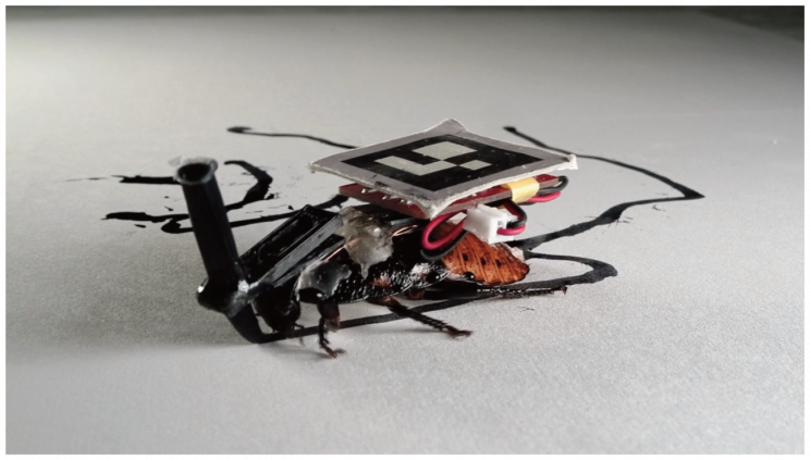 Robot Cockroaches Walk Around, Run Errands in Your House Robot Cockroaches Walk Around, Run Errands in Your House