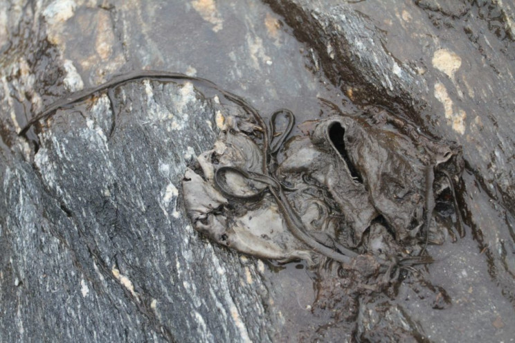Melting Glaciers Reveal Lost Viking-Era 'Highway' and 1,800-Year-Old Artifacts Melting Glaciers Reveal Lost Viking-Era 'Highway' and 1,800-Year-Old Artifacts