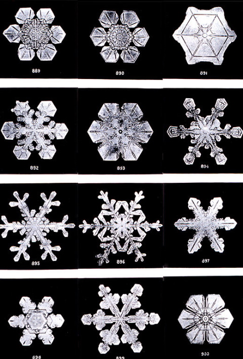 Six-sided snowflakes Six-sided snowflakes